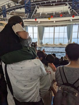 アクアワールド茨城県大洗水族館に投稿された画像（2024/9/11）