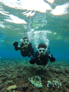 沖縄マリンサービス碧に投稿された画像（2024/9/11）