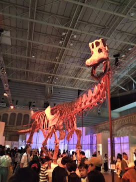 巨大恐竜展2024に投稿された画像（2024/9/11）