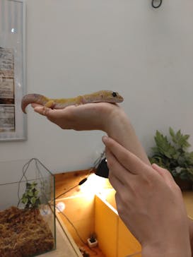 Moff アニマル カフェ イーアス 高尾店に投稿された画像（2024/9/11）