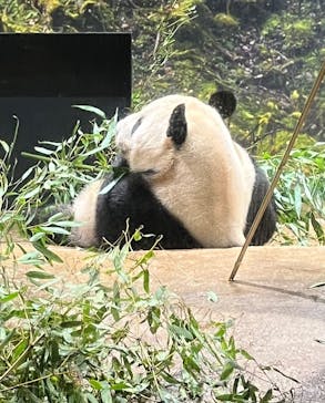 恩賜上野動物園に投稿された画像（2024/9/11）