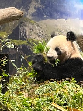 恩賜上野動物園に投稿された画像（2024/9/11）