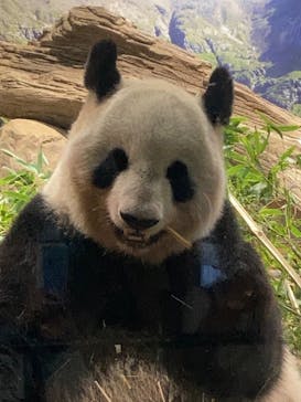 恩賜上野動物園に投稿された画像（2024/9/11）