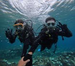 沖縄マリンサービス碧に投稿された画像（2024/9/11）