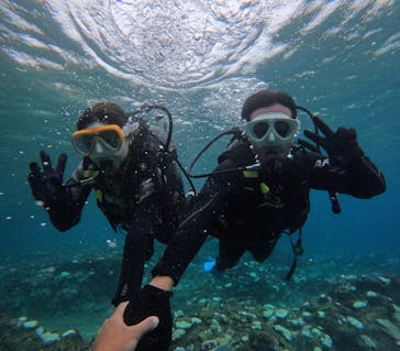 沖縄マリンサービス碧に投稿された画像（2024/9/11）