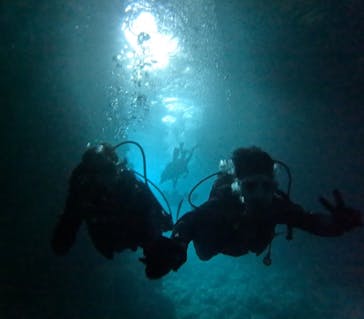 沖縄マリンサービス碧に投稿された画像（2024/9/11）