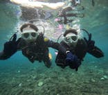 沖縄マリンサービス碧に投稿された画像（2024/9/11）