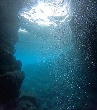 沖縄マリンサービス碧に投稿された画像（2024/9/11）