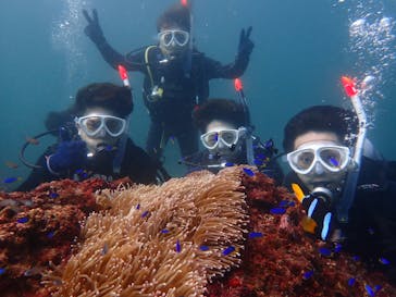 伊豆高原ダイビングスクール 渋谷店に投稿された画像（2024/9/11）