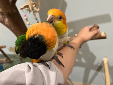 Moff animal cafe MARKIS 福岡ももち店に投稿された画像（2024/9/11）