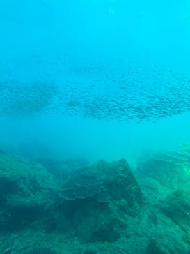 串本海中公園水族館に投稿された画像（2024/9/11）