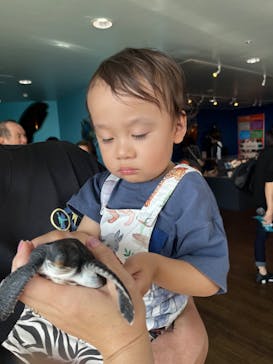 串本海中公園水族館に投稿された画像（2024/9/11）