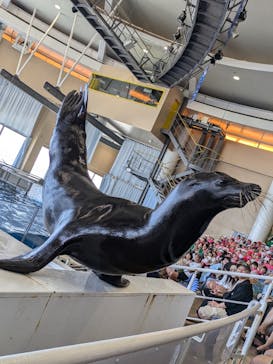 アクアワールド茨城県大洗水族館に投稿された画像（2024/9/11）