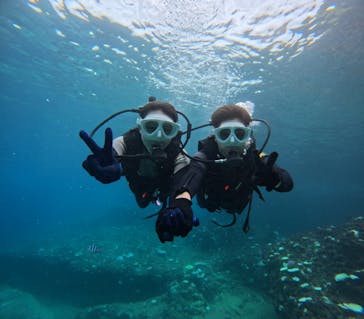 沖縄マリンサービス碧に投稿された画像（2024/9/11）