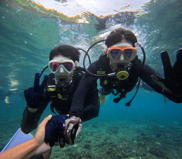 沖縄マリンサービス碧に投稿された画像（2024/9/11）