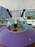 横浜アンパンマンこどもミュージアムに投稿された画像（2024/9/11）