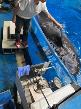 マクセル アクアパーク品川に投稿された画像（2024/9/11）