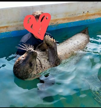 南知多ビーチランド＆南知多おもちゃ王国に投稿された画像（2024/9/8）