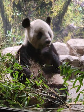 恩賜上野動物園に投稿された画像（2024/9/11）