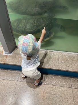 伊豆・三津シーパラダイスに投稿された画像（2024/9/11）