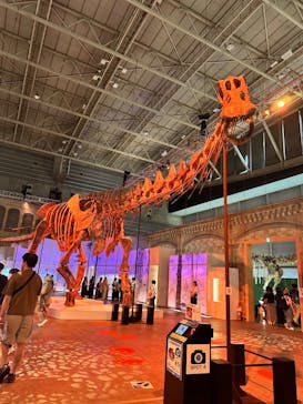 巨大恐竜展2024に投稿された画像（2024/9/11）