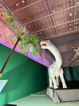 巨大恐竜展2024に投稿された画像（2024/9/11）