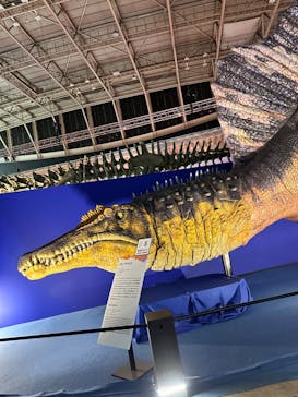 巨大恐竜展2024に投稿された画像（2024/9/11）