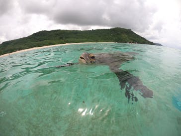 nico 宮古島に投稿された画像（2024/9/11）