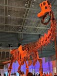 巨大恐竜展2024に投稿された画像（2024/9/11）