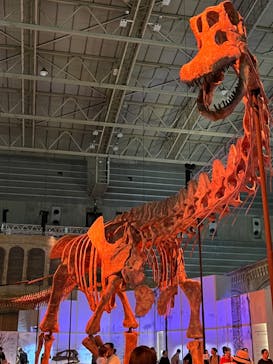 巨大恐竜展2024に投稿された画像（2024/9/11）
