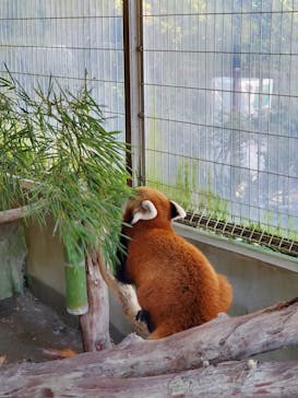 熱川バナナワニ園に投稿された画像（2024/9/11）