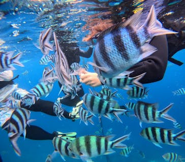 マリンクラブジジに投稿された画像（2024/9/11）