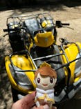 カントリーレイクシステムズに投稿された画像（2024/9/11）