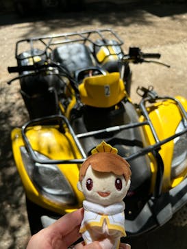 カントリーレイクシステムズに投稿された画像（2024/9/11）