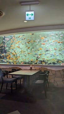 名古屋港水族館に投稿された画像（2024/9/11）