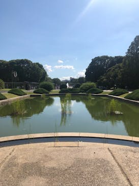 東京国立博物館に投稿された画像（2024/9/11）