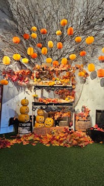 おふろcafé ハレニワの湯に投稿された画像（2024/9/11）