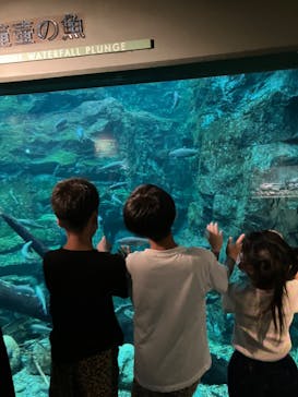 世界淡水魚園水族館　アクア・トトぎふに投稿された画像（2024/9/11）