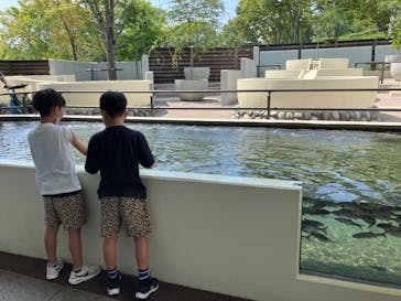 世界淡水魚園水族館　アクア・トトぎふに投稿された画像（2024/9/11）