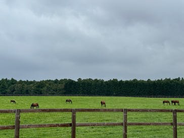 ノーザンホースパークに投稿された画像（2024/9/11）