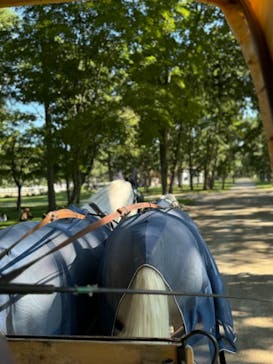 ノーザンホースパークに投稿された画像（2024/9/11）