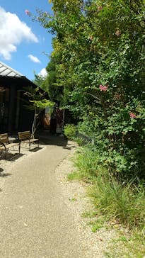 有馬街道温泉すずらんの湯に投稿された画像（2024/9/11）