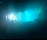 武藤潜水に投稿された画像（2024/9/12）