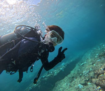 武藤潜水に投稿された画像（2024/9/12）
