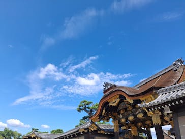 元離宮二条城に投稿された画像（2024/9/12）