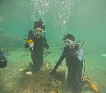 沖縄マリンサービス碧に投稿された画像（2024/9/12）