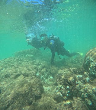 沖縄マリンサービス碧に投稿された画像（2024/9/12）