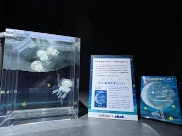 AOAO SAPPOROに投稿された画像（2024/9/12）