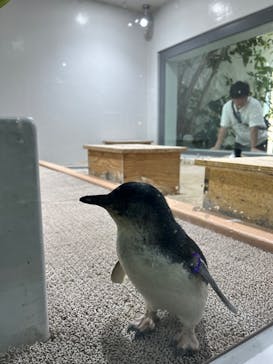 AOAO SAPPOROに投稿された画像（2024/9/12）