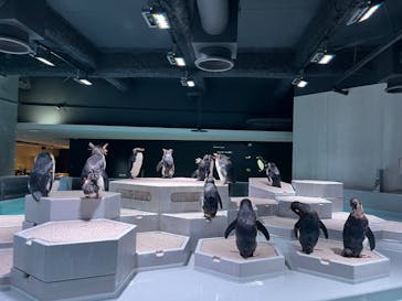 AOAO SAPPOROに投稿された画像（2024/9/12）